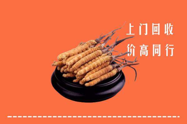 高价求购：邢台广宗县回收散虫草
