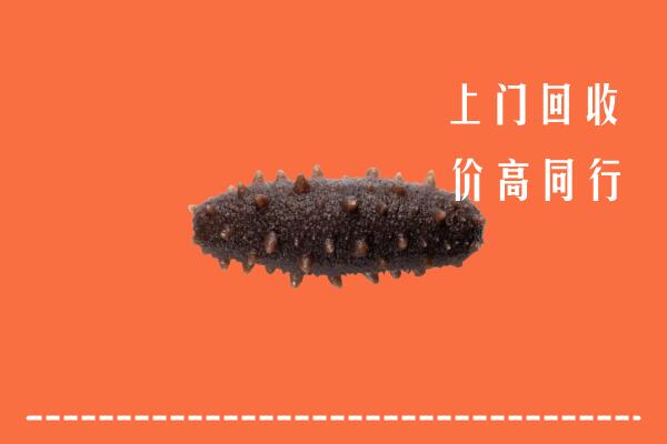 高价求购：邢台广宗县回收海参